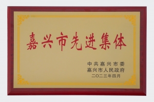 嘉興市先進(jìn)集體